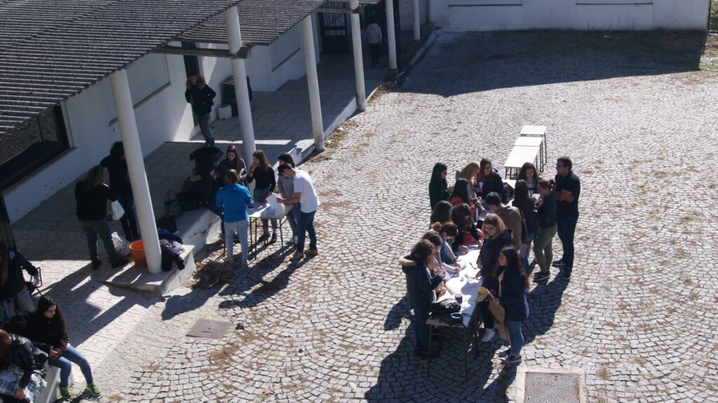  Escola de Viseu vence concurso que envolve jovens na ação climática - Jornal do Centro
