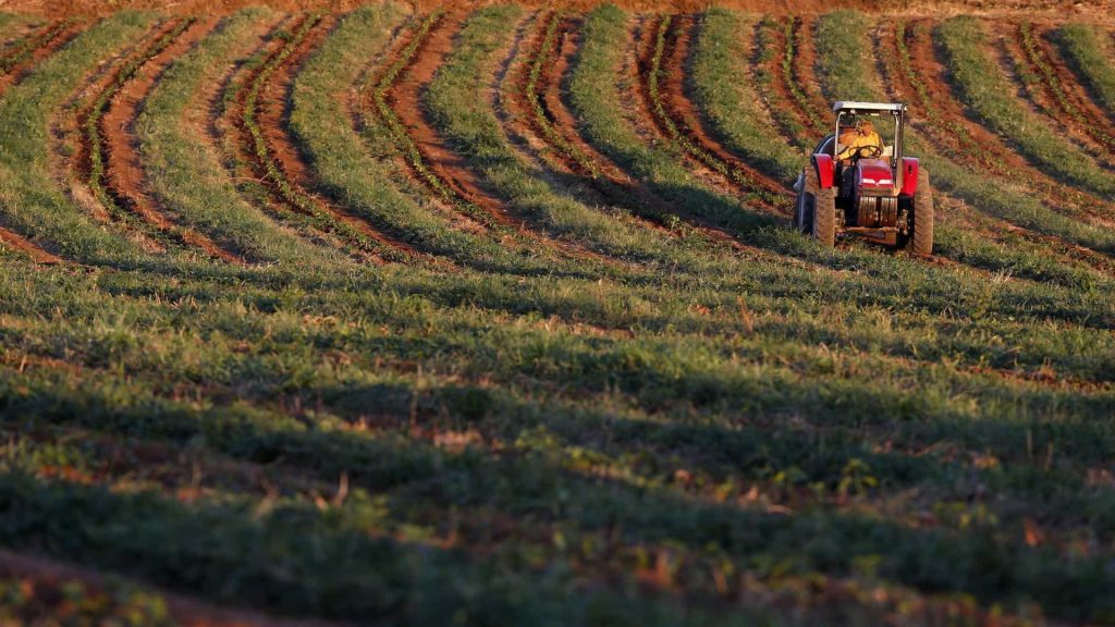  Agricultores alertam para roubos de cobre. Em Viseu registaram-se seis casos - Jornal do Centro