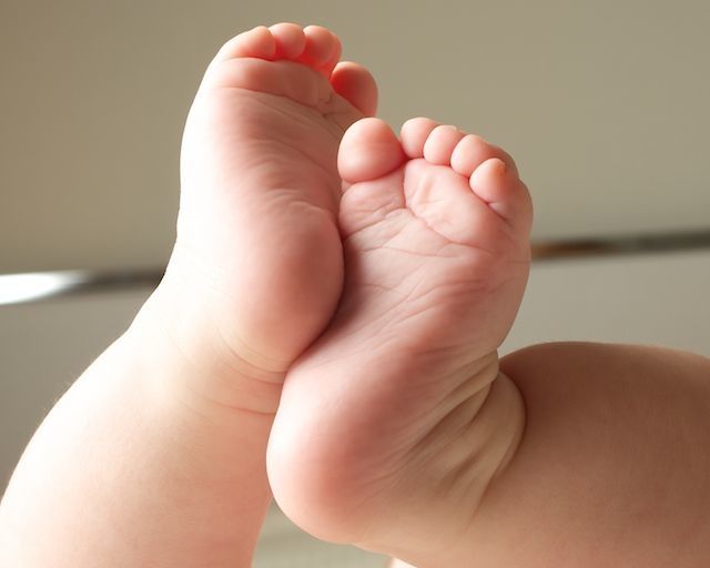  Famílias de Nelas receberam cerca de 150 mil euros de apoio à natalidade nos últimos anos - Jornal do Centro