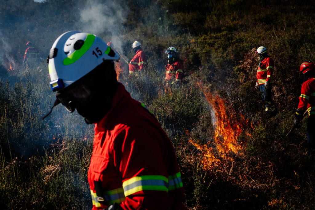  Incêndios: Castro Daire com várias frentes em direção a Viseu e São Pedro do Sul - Jornal do Centro