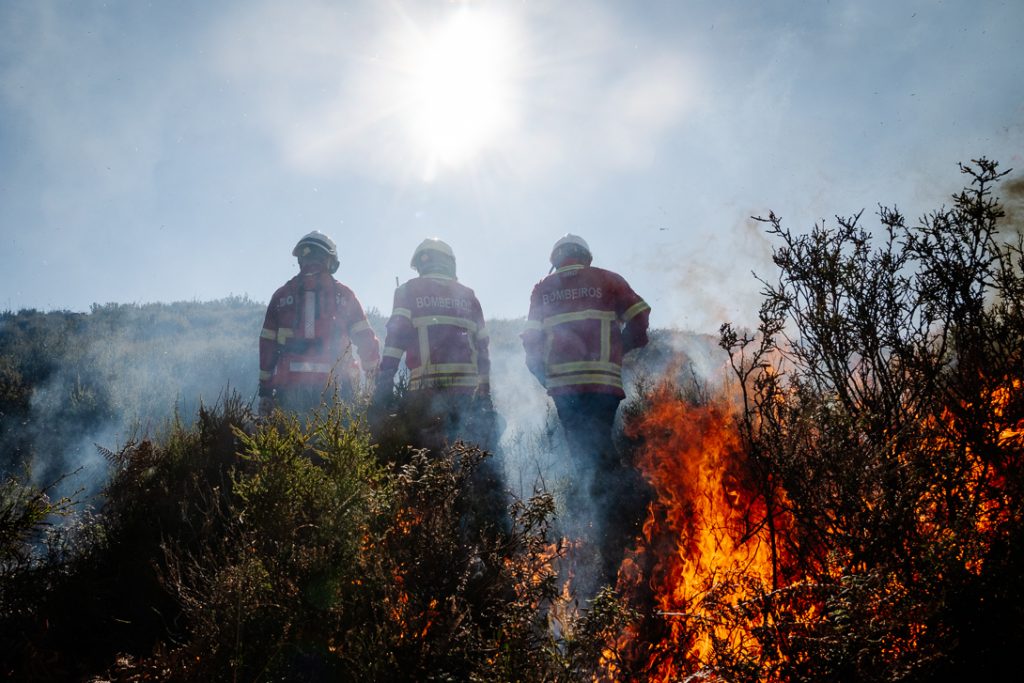  Incêndios: retirados habitantes da aldeia de Cabrum, em Viseu - Jornal do Centro