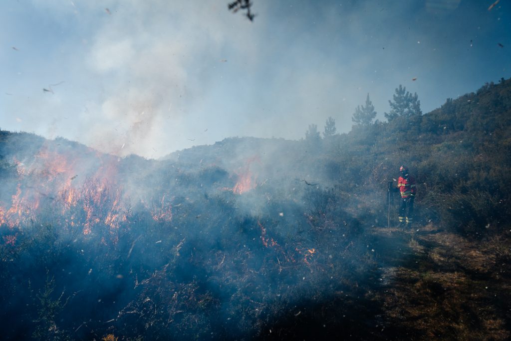  Incêndios: São Pedro do Sul com situação “mais favorável” no combate às chamas - Jornal do Centro