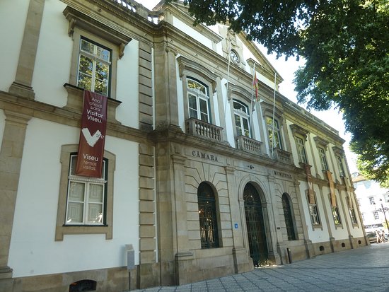  PS questiona falta de ação da Câmara de Viseu para atrair curso de Medicina