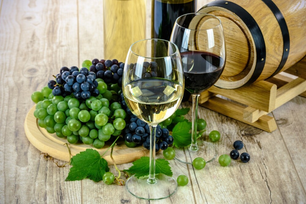 Vinho de Cinfães recebe prémios no 5º Concurso de Vinhos Escanções de Portugal - Jornal do Centro