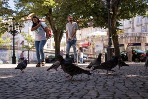 dia_no_rossio-3