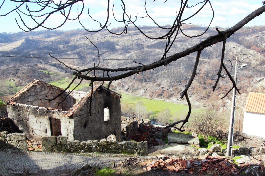  Incêndios de outubro de 2017: sete anos da tragédia que devastou Portugal - Jornal do Centro