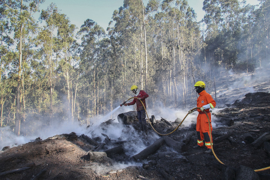  Incêndios: Bombeiro agredido com forquilha durante combate às chamas em Resende - Jornal do Centro