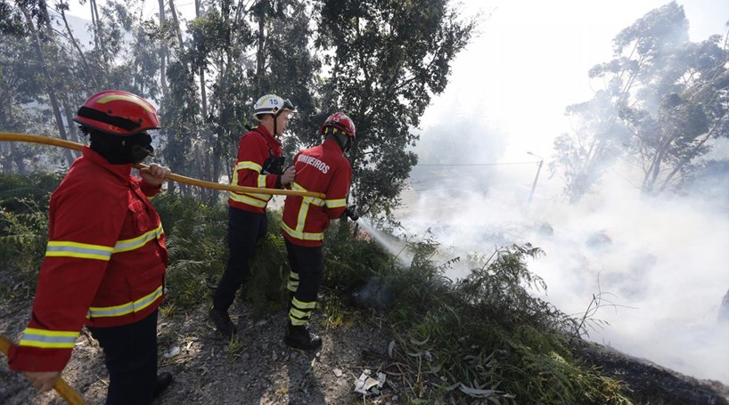  Distrito de Viseu em perigo máximo de incêndio - Jornal do Centro