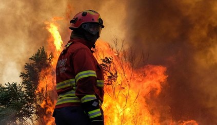  Incêndios: Xavier Viegas alerta que este ano está entre os piores das últimas décadas - Jornal do Centro