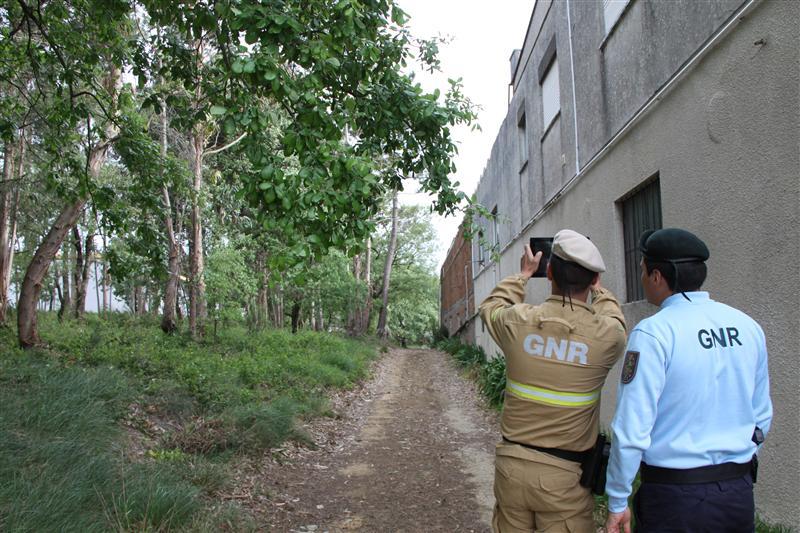  Incêndios: GNR sinaliza em Viseu mais de 400 terrenos para limpeza na Campanha Floresta Segura 2025 - Jornal do Centro