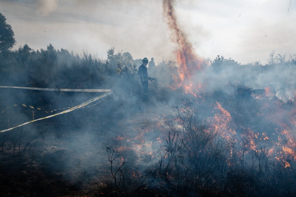  Número de incêndios no distrito de Viseu com o registo mais baixo da última década - Jornal do Centro