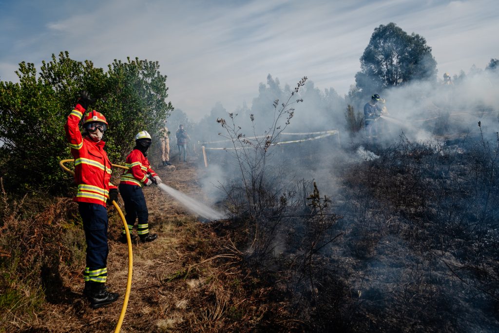  Distrito de Viseu: agosto com menos incêndios e menos área ardida - Jornal do Centro