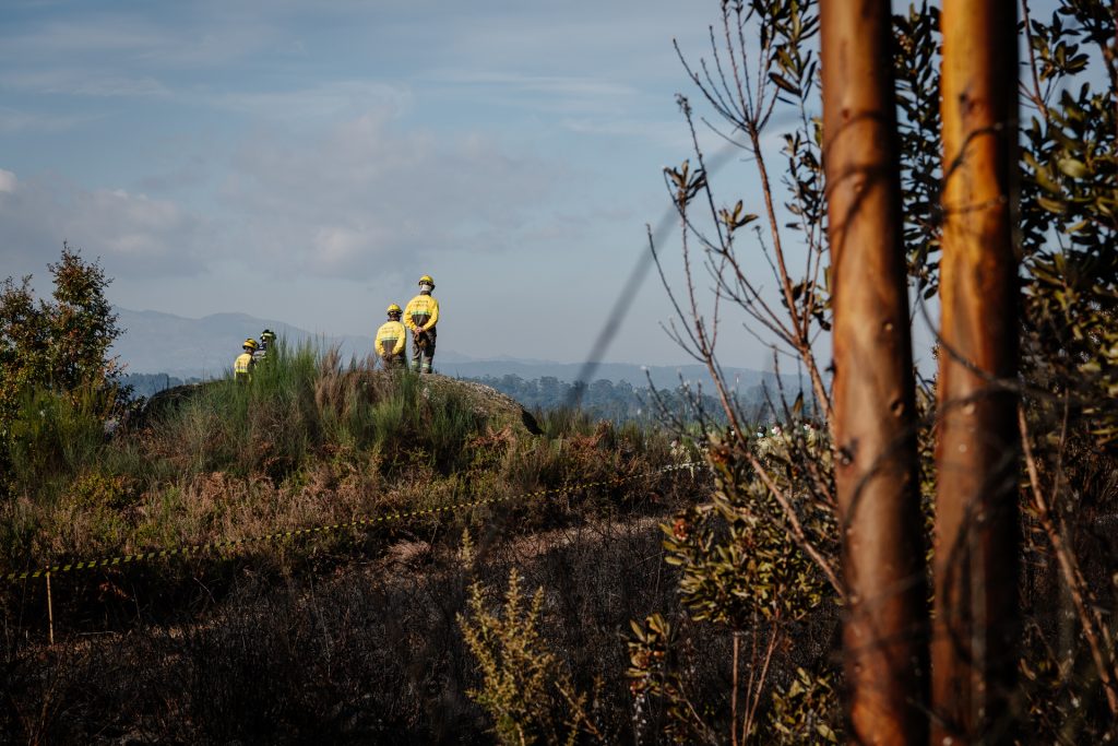  Proteção Civil alerta para perigo de incêndio no interior Norte e Centro - Jornal do Centro
