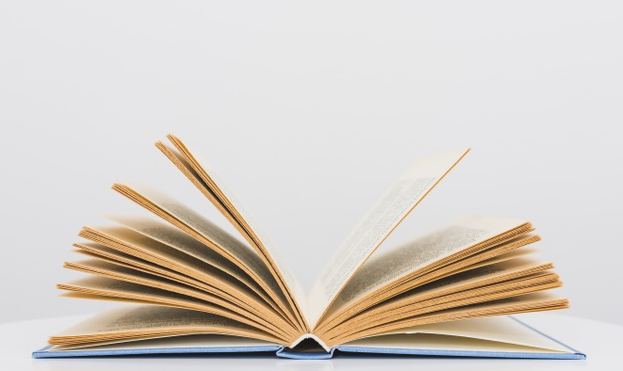  Livro de poesia apresentado este sábado no Auditório Municipal de Vouzela - Jornal do Centro
