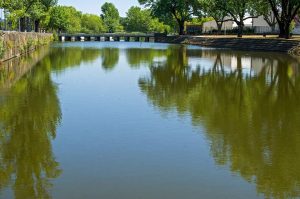 rio_pavia_vai_ser_alvo_de_uma_operacao_de_lipeza_do_seu_leito_1