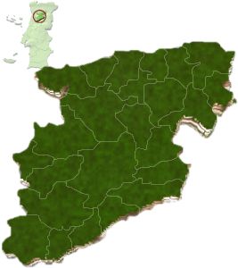 Mapa distrito de Viseu Quatro municípios do distrito de Viseu ainda não iniciaram revisão obrigatória dos PDM - Jornal do Centro