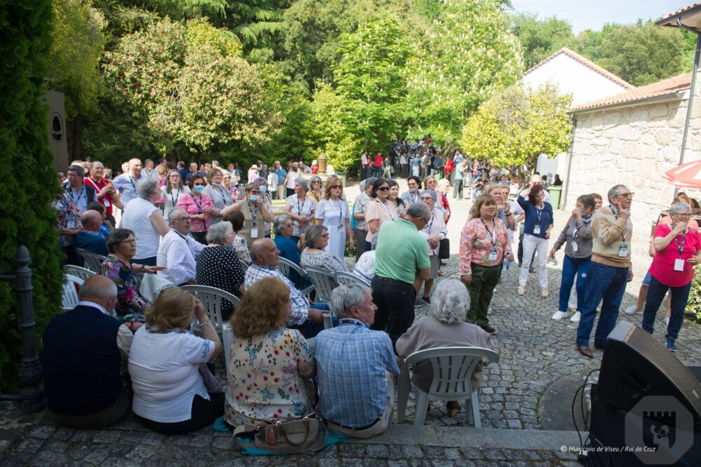  Tardes de convívios para mais de dois mil seniores na Quinta da Cruz em Viseu - Jornal do Centro