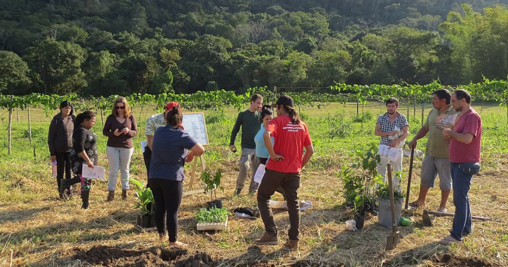  Congresso de Agroecologia reúne cerca de 400 especialistas em Viseu - Jornal do Centro