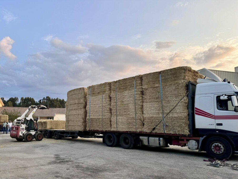  Câmara de Nelas avança com projeto de apoio ao investimento na agricultura - Jornal do Centro