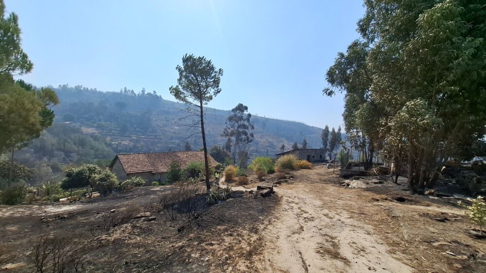  Incêndios: Fogo de Nelas em resolução - Jornal do Centro