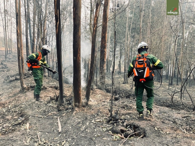  Incêndios: pelotão do RI14 no combate e rescaldo. Mais de 400 militares do Exército empenhados - Jornal do Centro