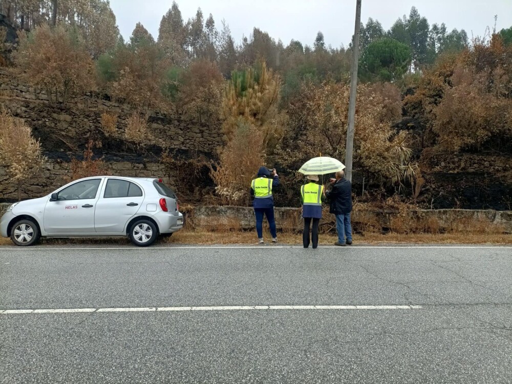  Câmara de Nelas cria equipa para reforçar apoio pós-incêndios - Jornal do Centro