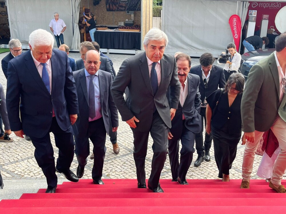  Feira do Vinho do Dão: Setor do vinho é “absolutamente central, vital e estratégico”, diz ministro da Defesa - Jornal do Centro