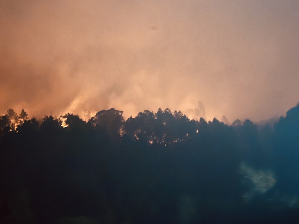  Incêndios: De Castro Daire a São Pedro do Sul, o fogo só não levou a força de quem lá mora - Jornal do Centro