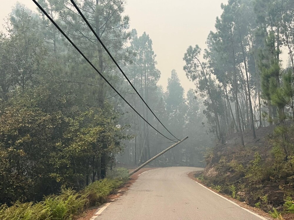  Incêndios: De Castro Daire a São Pedro do Sul, o fogo só não levou a força de quem lá mora - Jornal do Centro