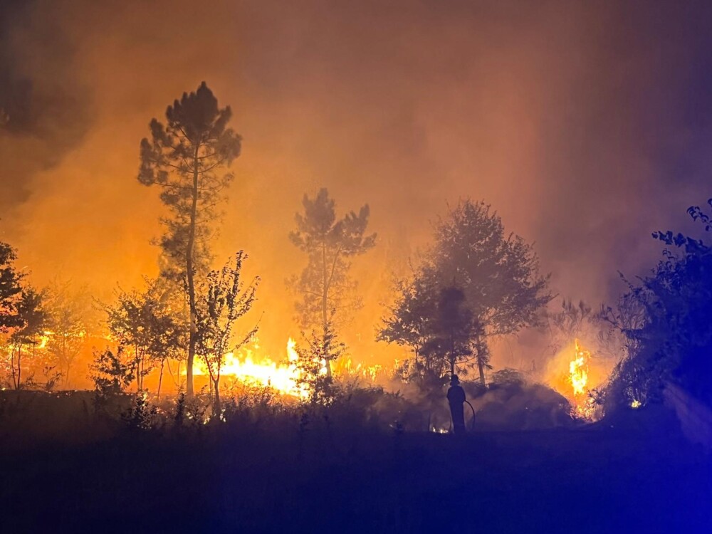  Até agora, maior incêndio do ano foi em Castro Daire - Jornal do Centro