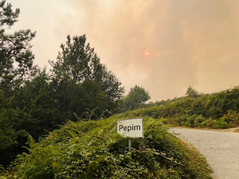  Incêndios: De Castro Daire a São Pedro do Sul, o fogo só não levou a força de quem lá mora - Jornal do Centro