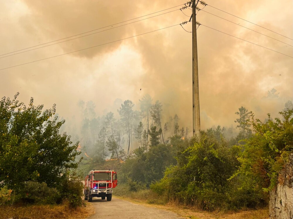  Incêndios: São Pedro do Sul com prejuízos de 2,8 milhões de euros no setor agrícola - Jornal do Centro