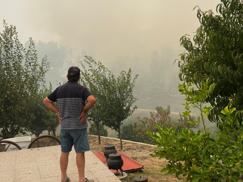  Incêndios: De Castro Daire a São Pedro do Sul, o fogo só não levou a força de quem lá mora - Jornal do Centro