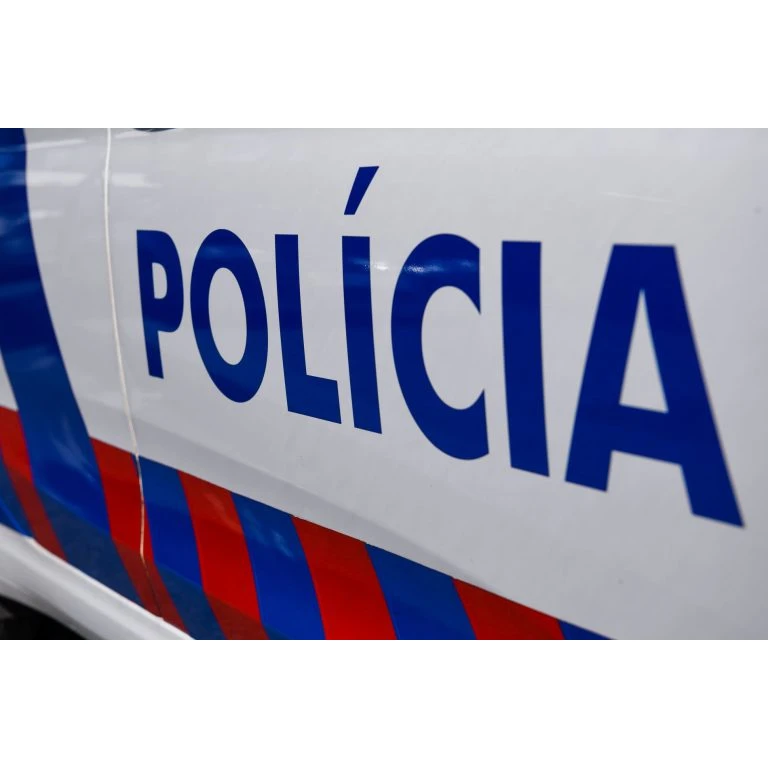 PSP Viseu