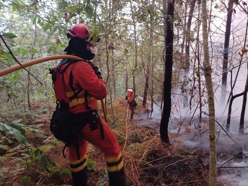  Incêndios: Vieram de Espanha para combater as chamas e acabaram a agradecer à população - Jornal do Centro