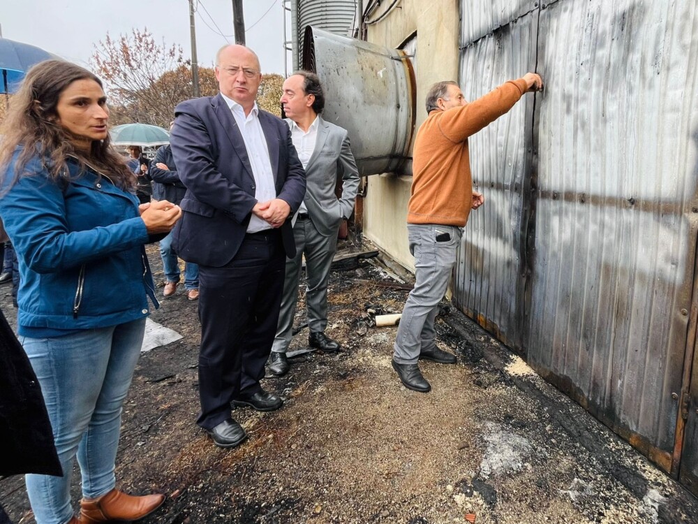  Incêndios: “É uma grande angústia. Ainda não consigo vir ao pavilhão sozinho”, lamenta dono de aviário que ardeu em Castro Daire - Jornal do Centro
