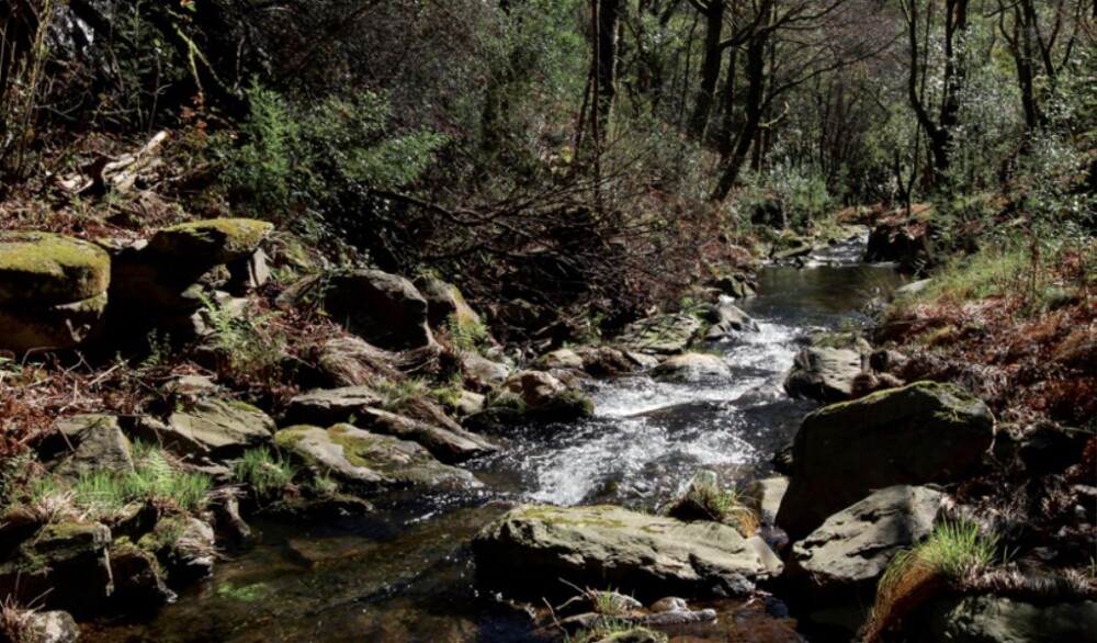  Mortágua: o paraíso para quem gosta de andar a pé - Jornal do Centro