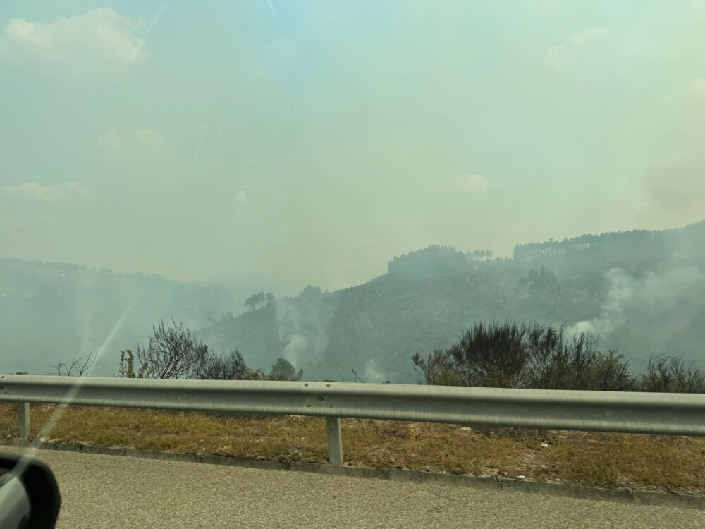  Incêndios: Câmara de Cinfães faz levantamento dos prejuízos dos agricultores - Jornal do Centro