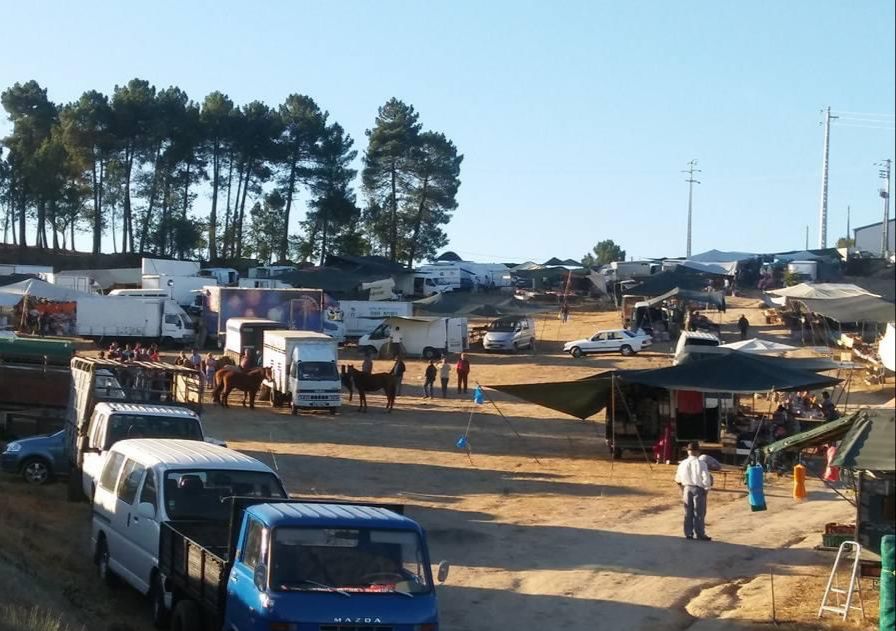  Festa em Moimenta da Beira celebra o fim das colheitas - Jornal do Centro
