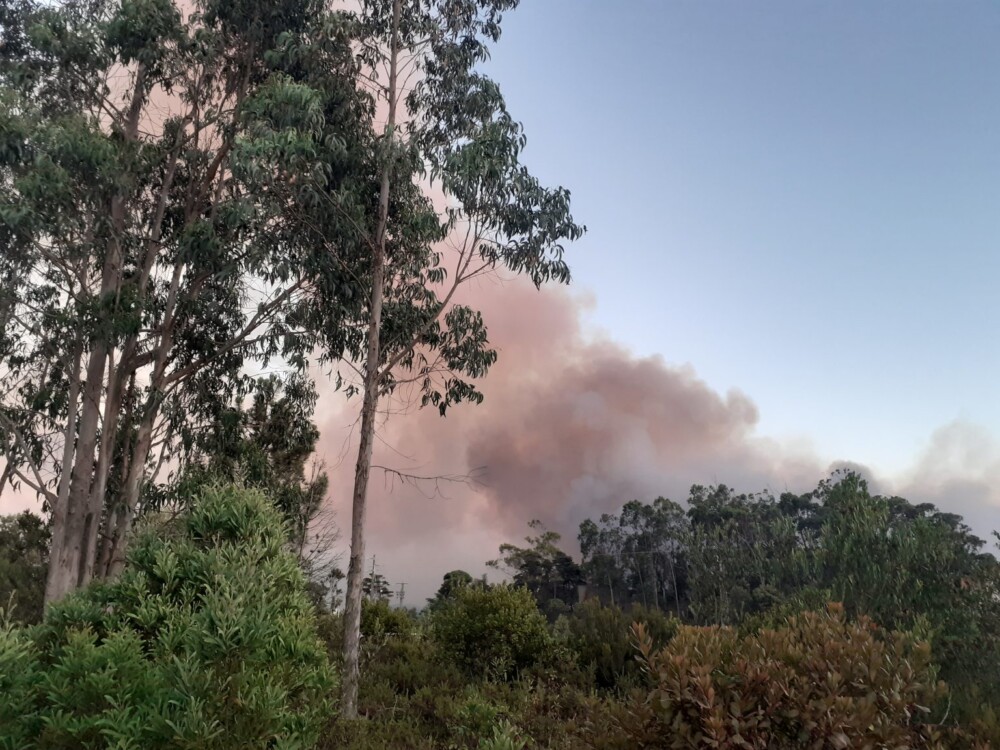  Homem detido por provocar incêndio florestal em Resende - Jornal do Centro