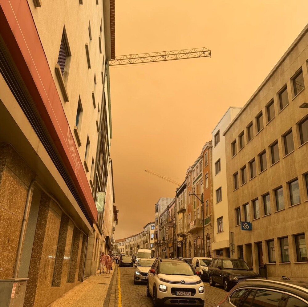  Como deve agir para se proteger do fumo dos incêndios? - Jornal do Centro
