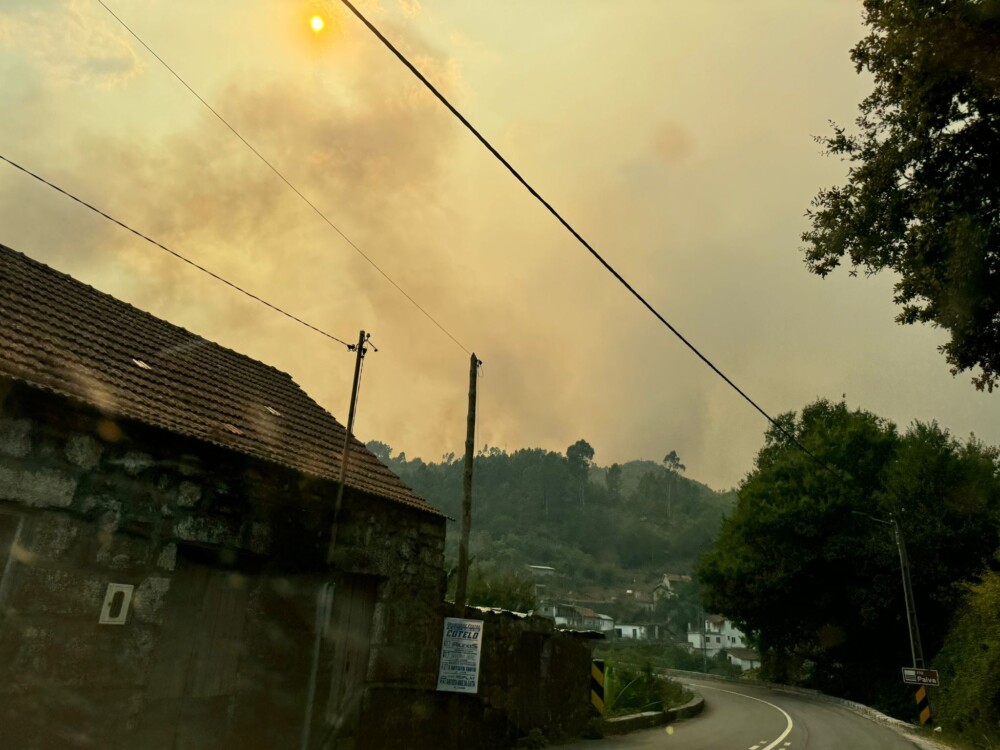  Incêndios: Governo decreta luto nacional de um dia para sexta-feira - Jornal do Centro