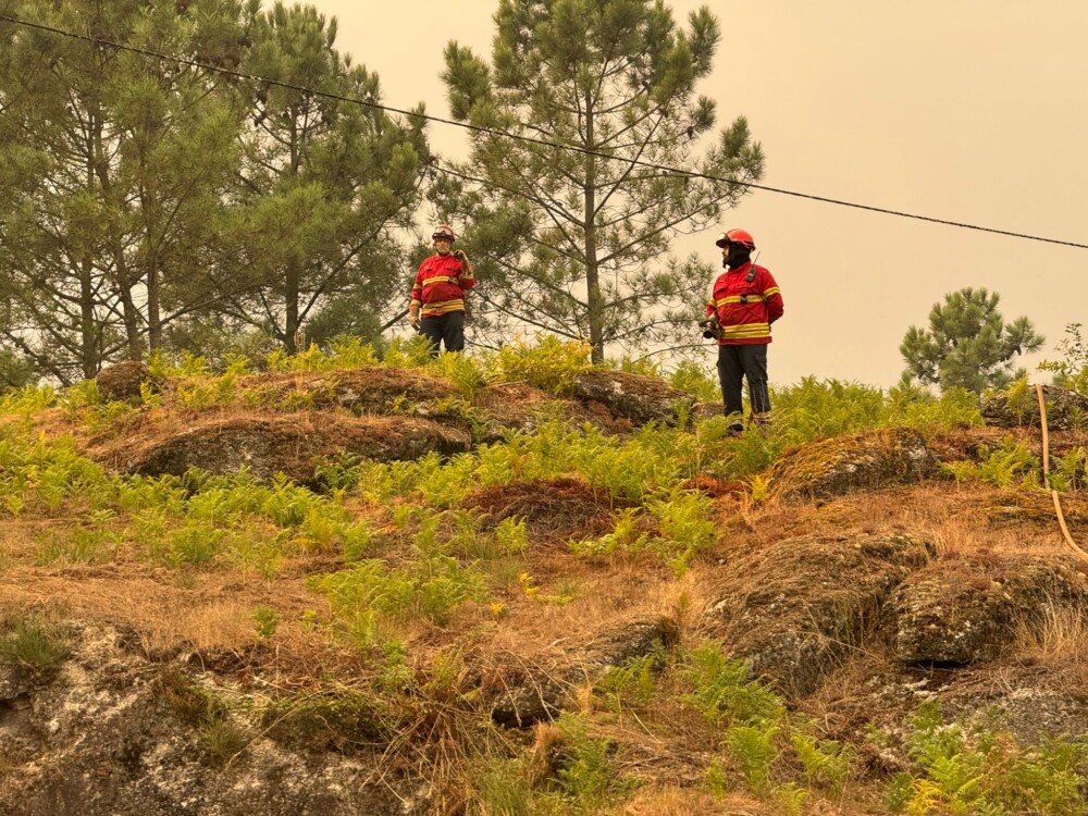  Moção do PS que pede ao Governo mais apoio e revisão das políticas da floresta aprovada em Cinfães - Jornal do Centro