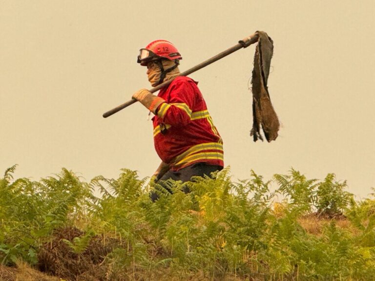 incêndios 2024 06