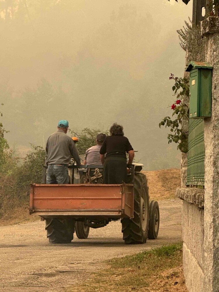  Incêndios: Afetados pelos fogos nas regiões Norte e Centro têm até dia 30 para cumprir obrigações fiscais - Jornal do Centro
