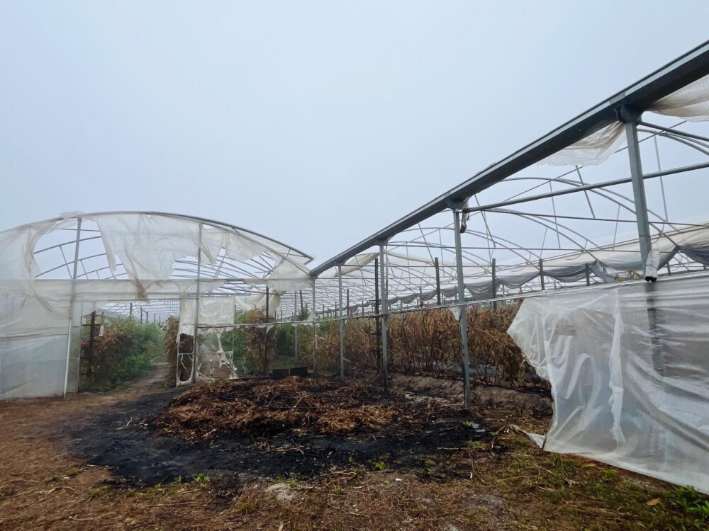  Isenção das taxas municipais em Castro Daire para reconstrução de edifícios afetados pelos incêndios - Jornal do Centro