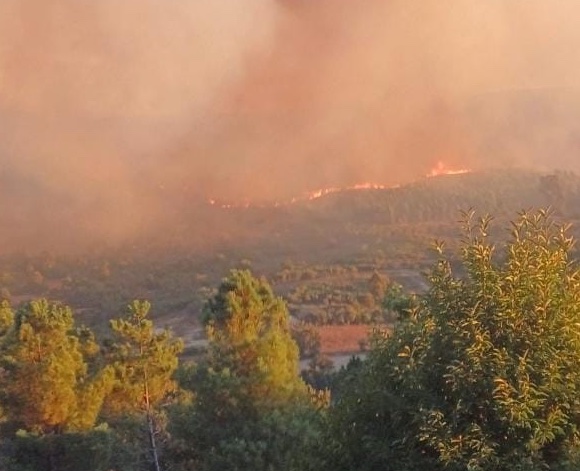  Incêndios: Fogo em Penalva do Castelo “continua muito ativo” - Jornal do Centro