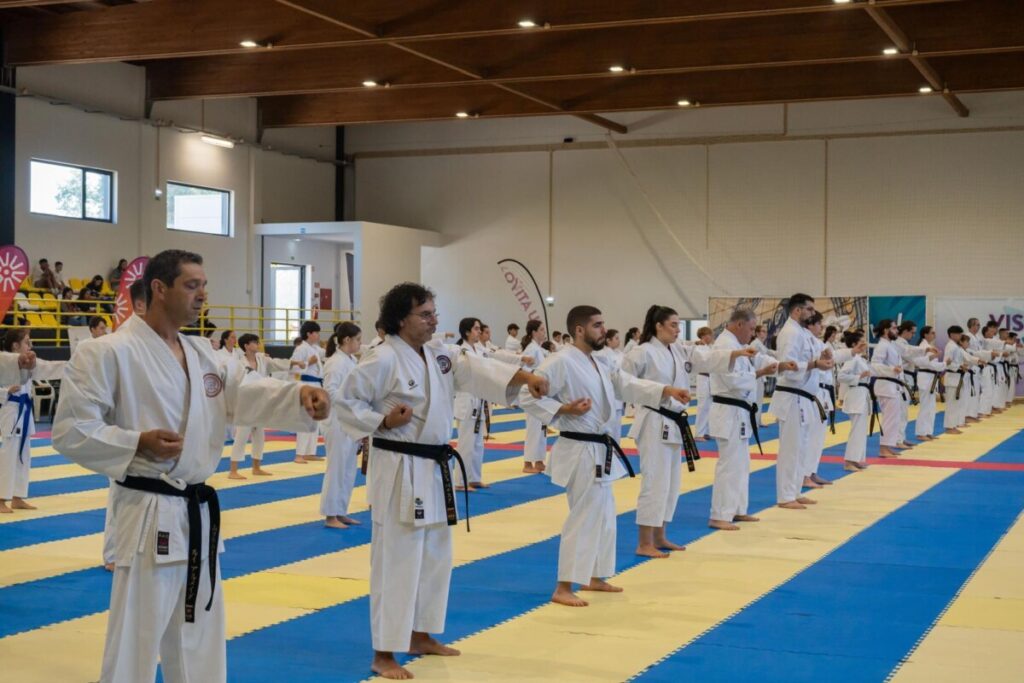 Viseu vai receber Seminário Internacional de Karaté - Jornal do Centro