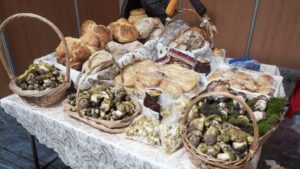 feira do míscaro sátão