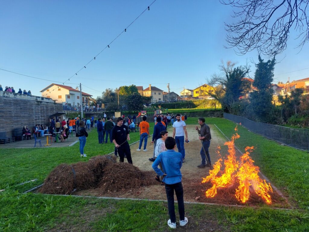  Feira da Castanha de Oliveira de Frades é este domingo - Jornal do Centro